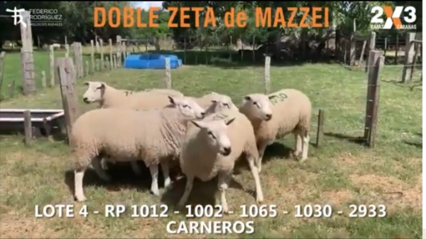 Remate 187